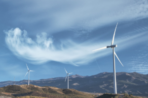 인코어드, 풍력발전 예측제도 참여 용량 300MW 돌파