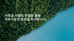 띵스파이어, 