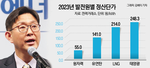 [길 잃은 RE100⑯] 유승훈 교수 “韓, 재생에너지 만으로는 한계…가격 고려한 CFE 확보 시급”