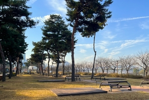 세종시, 금강수변공원 바비큐·피크닉 개장