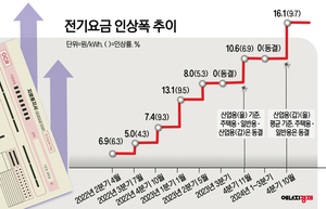 한전 ‘204조원’ 부채 누구 때문인데…산업계 전력직접거래 흐름에 “속타네”