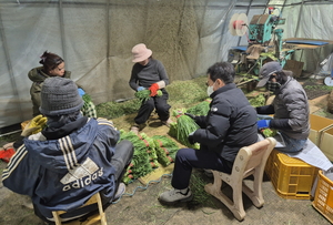 [E-로컬뉴스] 경주시,영천시 소식
