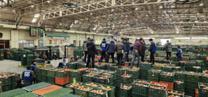 안동농협 농산물공판장, 출하장려금 최대 0.3%p 확대