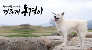 [E-로컬뉴스]  경주시 소식