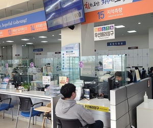 [E-로컬뉴스] 고흥군, 보성군 소식