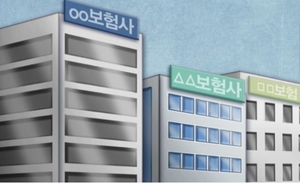 삼성생명·현대해상·DB손보, 역대급 실적에도 투심은 ‘싸늘’…한화생명은 ‘선방’