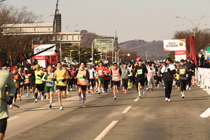 [포토뉴스]대구국제마라톤...힘찬 출발