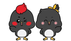[패트롤] 남양주시-양주시-양평군-포천시-하남시