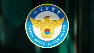대구경찰, 해외거점 376억 투자 사기 조직 총책 검거 송환