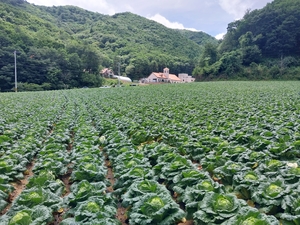 평창군, 토양복원사업 추진…12억7900만원 투입