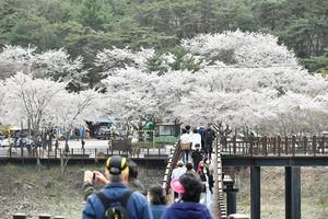 담양군, 20~70대까지 전 세대 아우른 ‘내륙관광1번지’ 입증