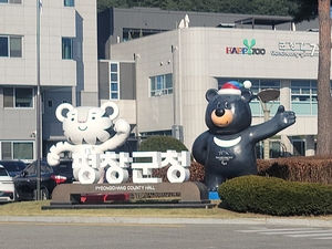 [E-로컬 포커스] 평창군, 정선군 소식 등