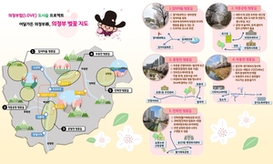 [포커스] 의정부시 도심 봄꽃길, 어서 오라 ‘유혹’