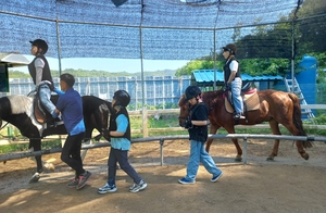 [패트롤] 과천시-군포시-김포시-시흥시-안산시