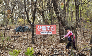 울창한 숲의 역설, 산불에 취약…산림 관리 재설계 나선다