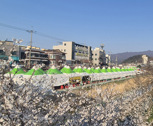 “사람과 봄이 피어나는 곳, 흥양천 벚꽃축제”