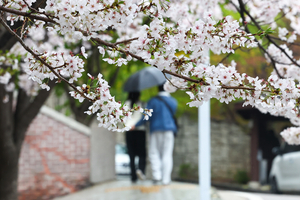 전국 대부분 비 또는 눈…돌풍·천둥번개 동반, 강풍·풍랑 주의