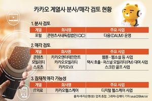 [이슈 분석] “계열사 팝니다”… 다이어트로 빙하기 버티는 ‘공룡’ 카카오