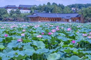 전주시, 덕진공원, 수변문화체험 관광명소 재탄생