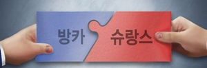 방카 25%룰 완화에 보험업계 ‘스탠바이’…중소형 소외는 우려