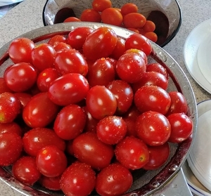 [클릭! 3분 건강] 전립선에 좋은 붉은 토마토, 항암·항산화 효과까지