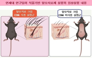 연세대 연구팀, 식물유래 천연성분 탈모치료제 개발