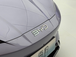 BYD 저가공세 한국서도 통했다…월 1000대 판매 ‘눈 앞’
