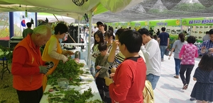 공주 석장리구석기 축제서 만나는 특별한 농촌의 매력