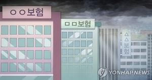 지난해 보험사 해외점포 순이익 1.6억달러…보험영업 확대·기저효과 영향