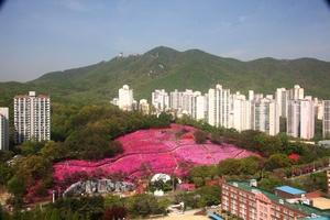 [패트롤] 군포시-김포시-부천시-시흥시-의왕시