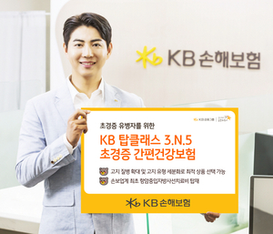 KB손해보험, 종합 유병자 보험 라인업 완성했다