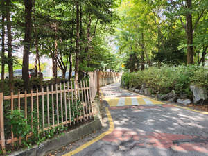 이상일 “심곡초 보행자 우선도로 2곳 조성...학부모, 경찰 의견 종합 검토해 결정”
