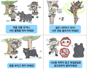 지리산 반달가슴곰 짝짓기 시기 시작, 탐방객 주의보