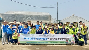 한국씨티은행, NH농협은행과 토마토농가 봉사활동
