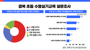 경북 초등 수영교육, 학교도 아이도 준비되지 않았다