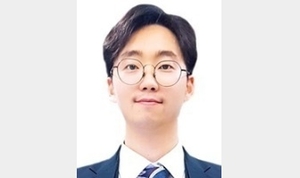 [기자의 눈] ‘동네북’ 대한항공을 위한 변명