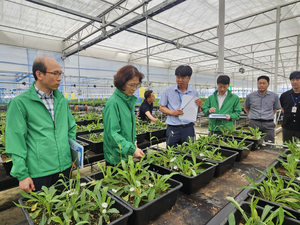 [산림 소식] 이미라 산림청 차장 “산림바이오 신성장동력 산업으로”·생활 속 목재이용 국민참여 공모전 열려