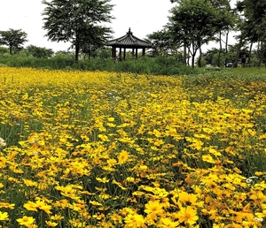 [날씨] 9일 전국 흐리고 따뜻…낮 최고 30도 예상