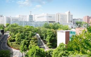 중앙대 원격미래교육원, 7월 개강 학점은행제 경영학·심리학 과정 신·편입생 모집