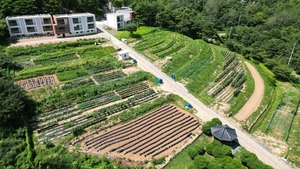 [E-로컬뉴스]영천시,포항시,청도군,대구보건대,영남대,iM금융그룹  소식