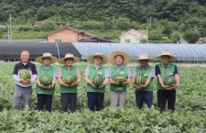 [E-로컬뉴스] 경북도, 경북교육청 소식
