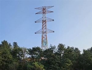 [이슈 분석] “계통혼잡비용 공개해야…전력거래소 EMS 신규 도입 필요”
