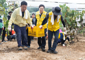 김동연, 각 시군에 2차피해 예방 위한 철저한 대응 주문