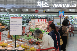 폭우·폭염에 소비쿠폰까지…치솟는 밥상물가에 불안 가중