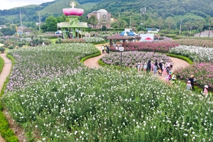 [E-로컬뉴스] 전남도, 장성군, 함평군, 고흥군, 광주환경공단 소식