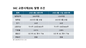 SKC, 올해만 3850억원 EB 발행…부채비율 200% 넘어 차입 부담됐나?