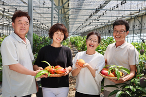 청도군 애플망고, 틈새작목에서 ‘명품 과일’로 자리잡는다