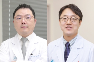 대동맥판막 재치환술, 3D완전내시경으로 치료 성공