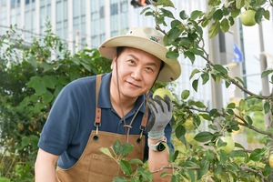 이권재 오산시장, “오산천 감사나무 첫 열매 수확...어르신들과 함께 나눴다”