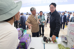 달꼼한 ‘송산포도’ 향기 가득...화성시, ‘제11회 화성송산포도축제’ 성료